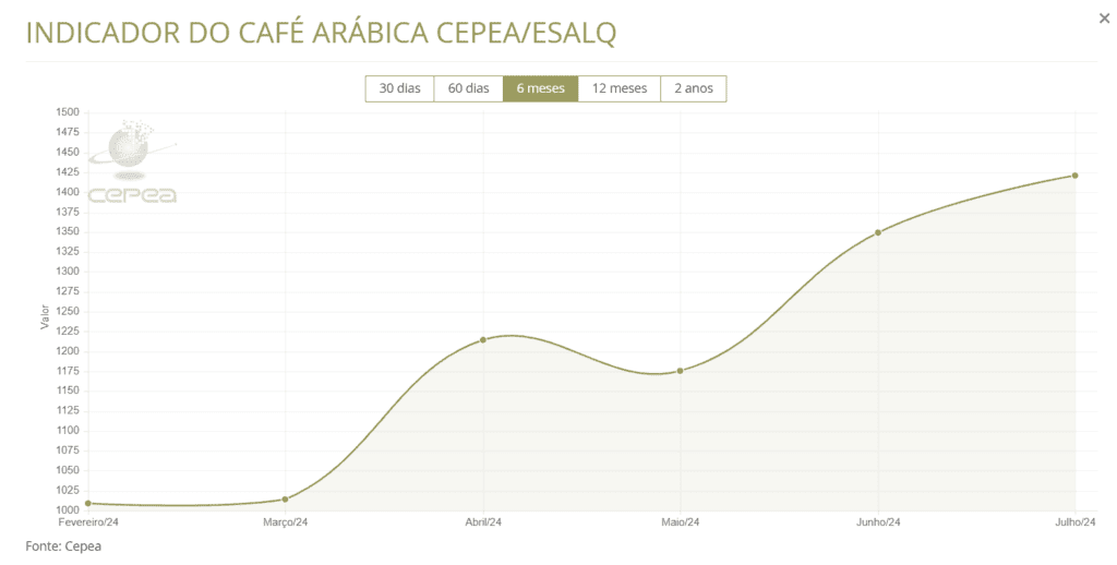 Imagem de um gráfico contendo a cotação de café arábica nos últimos 6 meses, fonte cepea