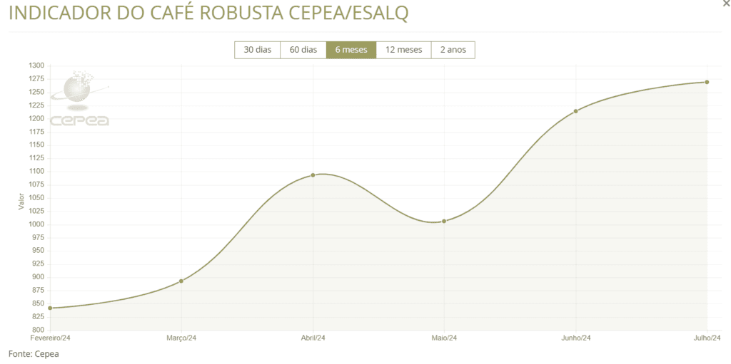 gráfico de preço do café robusta